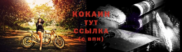 a pvp Аркадак