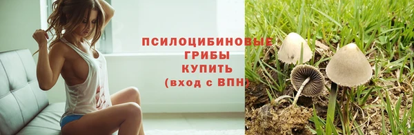 a pvp Аркадак