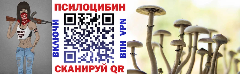 Купить закладки  Белёв  Псилоцибиновые грибы мицелий 